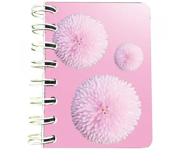 Carnet cu spira Bumbisori, 7 x 10 cm, 75 foi veline