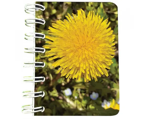 Carnet cu spira Papadie, 7 x 10 cm, 75 foi veline