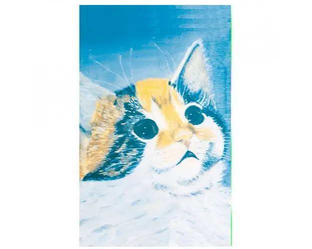 Carnetel de buzunar Pisica 5 x 8 cm, 100 foi veline