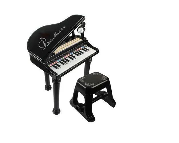 Pian Cu Microfon si Scaunel Micul Muzician-negru