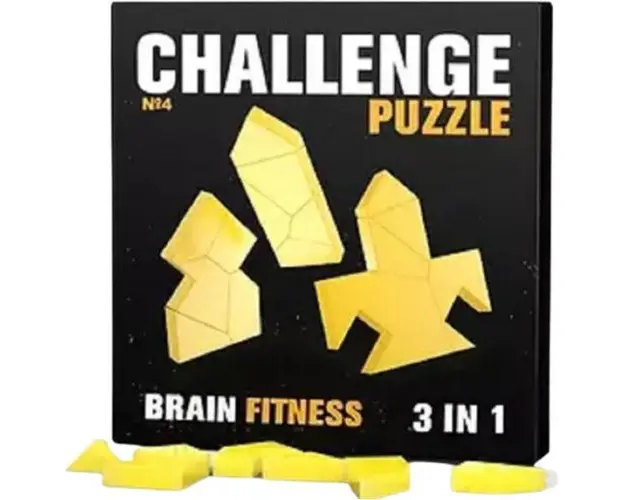 Challenge Puzzle 3 in 1 Nr.4