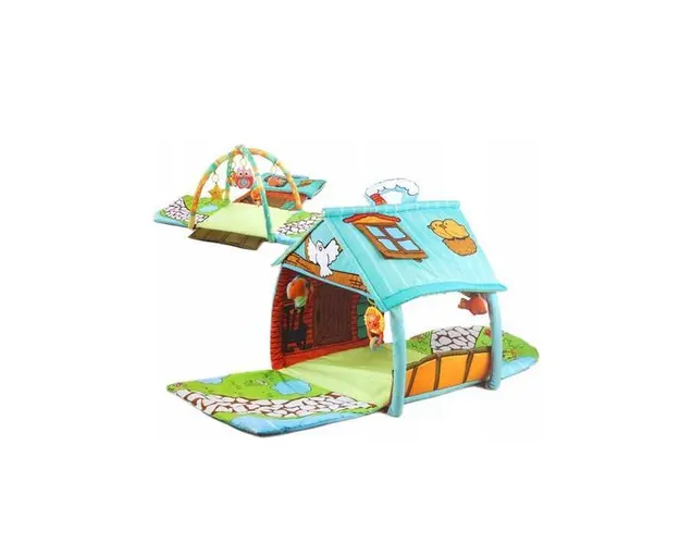 Salteluta de joaca Funny Tunnel Big House
