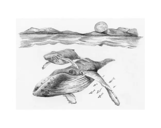 Crochiu incepatori-Balena