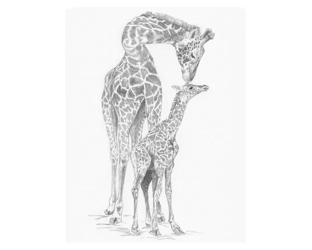 Crochiu incepatori-Girafa cu pui 22x29 cm