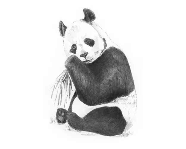 Crochiu incepatori-Panda 13x18 cm