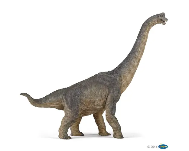 Figurina Papo - Dinozaur Brachiosaurus