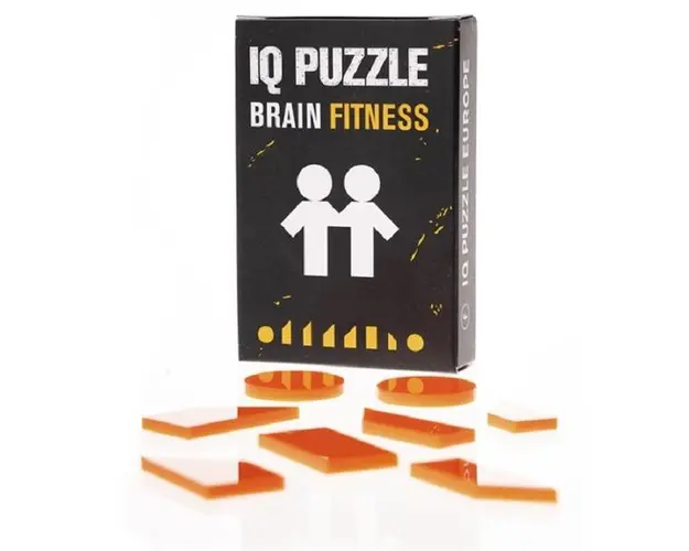 IQ Puzzle: Gemeni