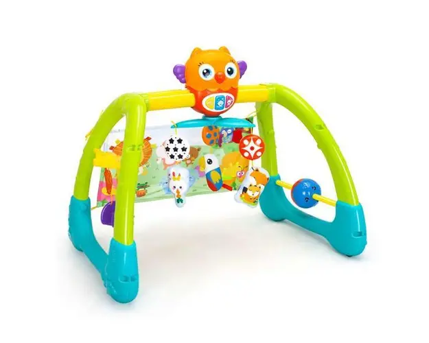 Jucarie 5 in 1 pentru gimnastica Owl Bebeking