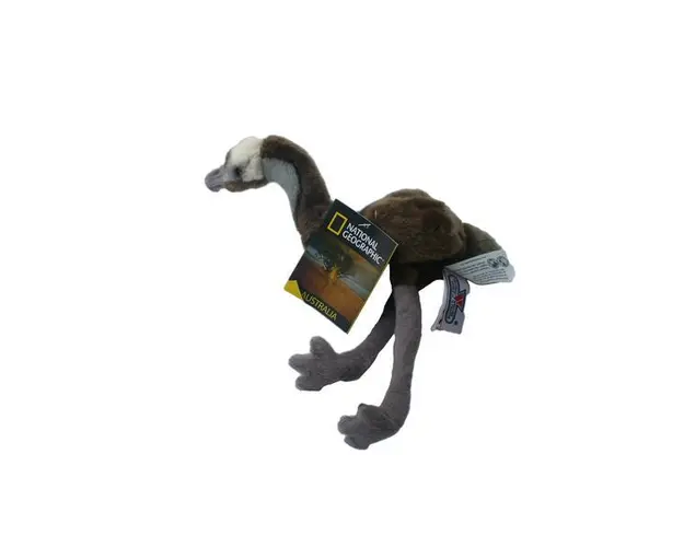 Jucarie din plus Emu, Colectia National Australia