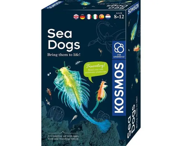 Kit Stem: Animale Marine