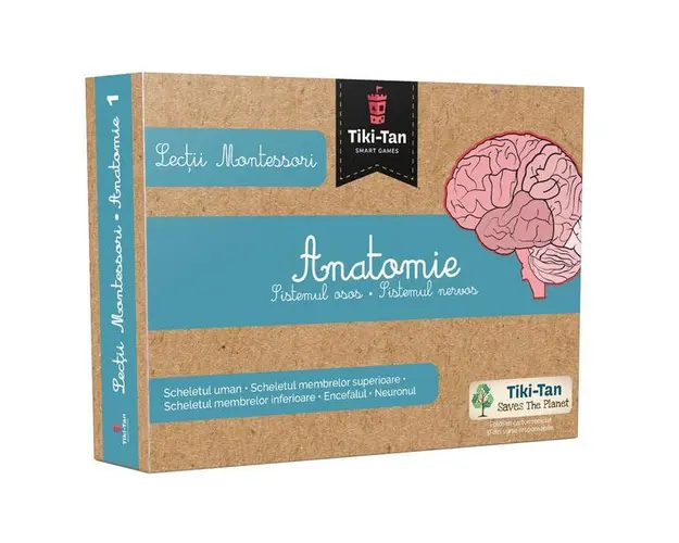 Lectii Montessori - Anatomie: Sistemul osos. Sistemul nervos