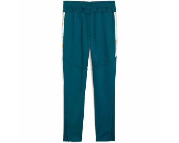 Pantaloni copii Puma Neymar Jr Creativity Training Pants Jr 65895713, 176, Albastru
