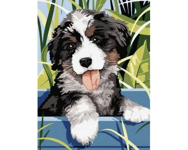 Pictura dupa numere 40x30cm - caine