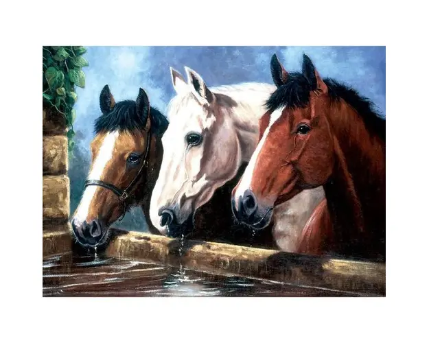 Pictura pe numere juniori - Trio