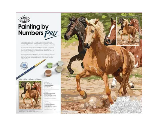 Pictura pe numere master Cal in galop