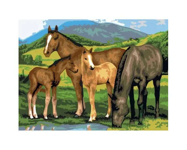 Prima mea pictura pe numere junior mare Cai