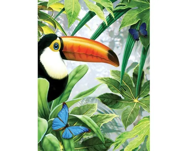 Prima mea pictura pe numere junior mica - Tucan
