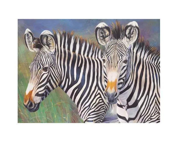Prima pictura pe numere junior mare Zebrele lui Grevy