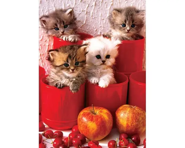 Puzzle 1000 piese Kittens in Pots