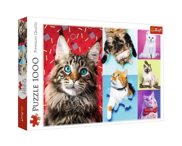Puzzle 1000. Pisicute fericite