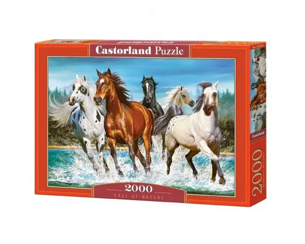 Puzzle 2000 Pcs - Castorland, 7Toys