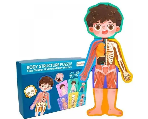 Puzzle educativ 30 piese - Corpul Omenesc - Baieti, 7Toys