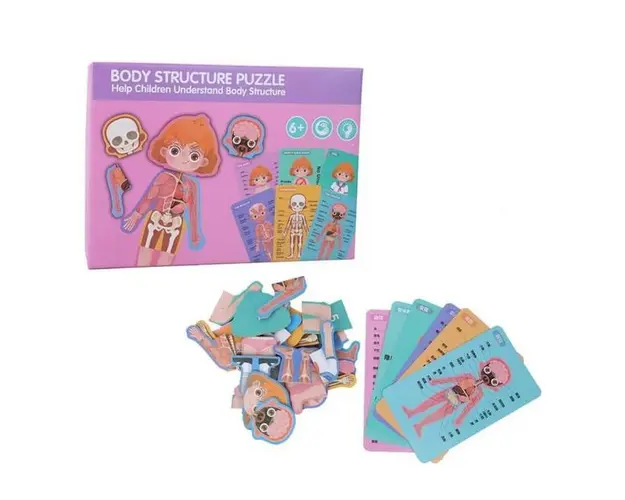Puzzle educativ 30 piese - Corpul Omenesc - Fete, 7Toys