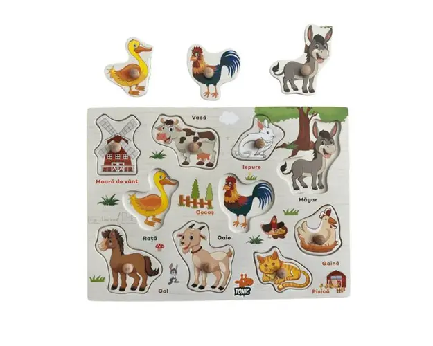 Puzzle Incastru din lemn cu Animale Domestice in limba romana, 7Toys