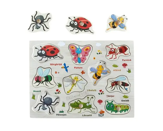 Puzzle Incastru din lemn cu Insecte in limba romana, 7Toys