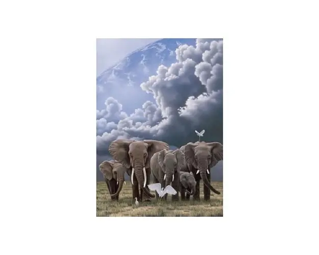 Puzzle Schimmel, 1000 piese, Elefanti