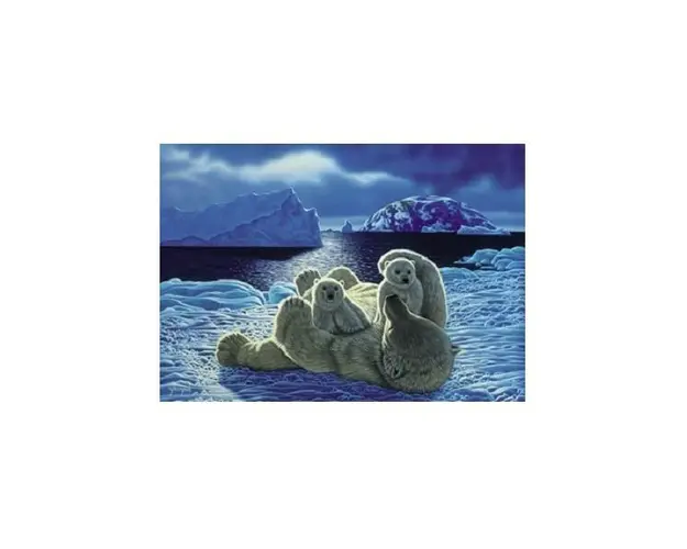 Puzzle Schimmel, 1000 piese, Ursi polari