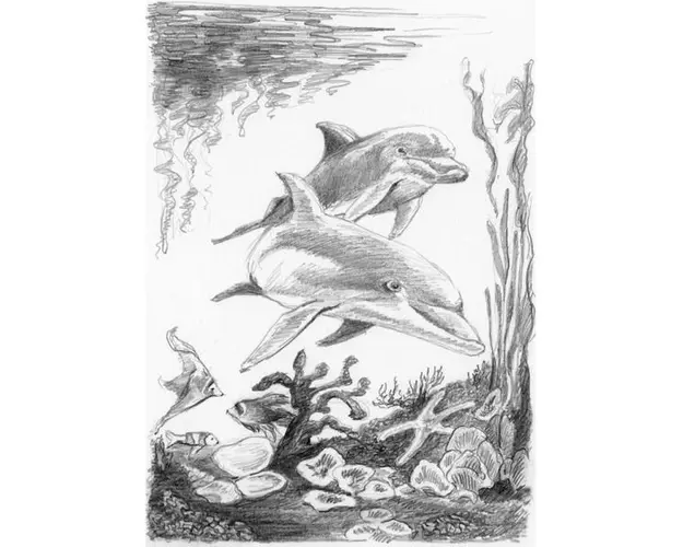 Schita creion incepatori-Delfini