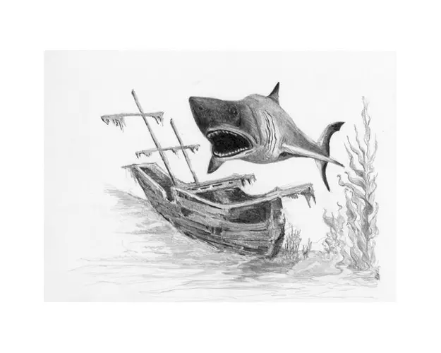 Schita creion incepatori mica Rechin