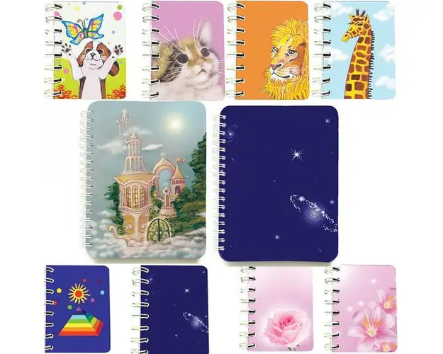 Set 10 carnete Aleator 5, doua carnete cu spira 12 x 16 cm, 100 foi dictando si 8 carnete cu spira 7 x 10 cm, 75 foi veline