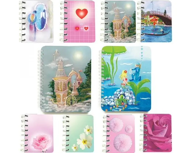 Set 10 carnete Romantic 100 %: doua carnete cu spira 12 x 16 cm, 100 foi dictando si 8 carnete cu spira 7 x 10 cm, 75 foi veline