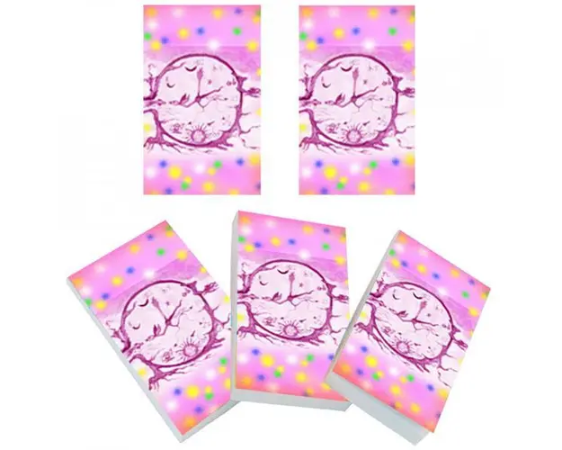 Set 5 carnetele de buzunar In afara timpului, 5 x 8 cm, 100 foi veline