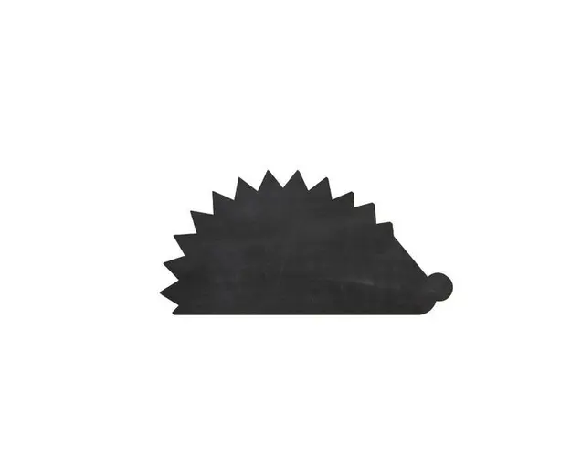 Tabla Scolara sub Forma de Autocolant pentru Scris cu Creta, Arici, 81x40 Cm