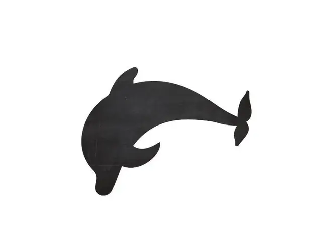 Tabla Scolara sub Forma de Autocolant pentru Scris cu Creta, Delfin, 84x52 cm