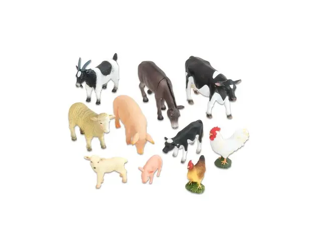 Animale domestice set 2