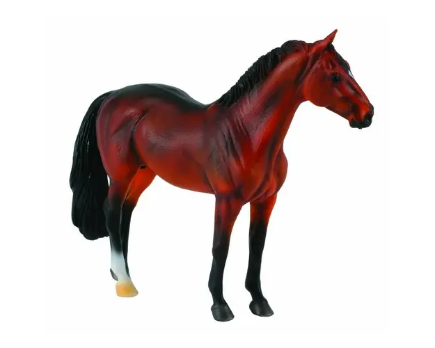 Collecta - Armasar Hanoverian