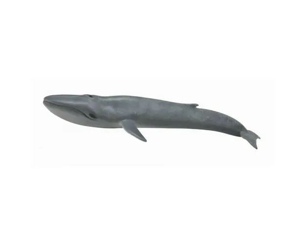 Collecta - Balena Albastra