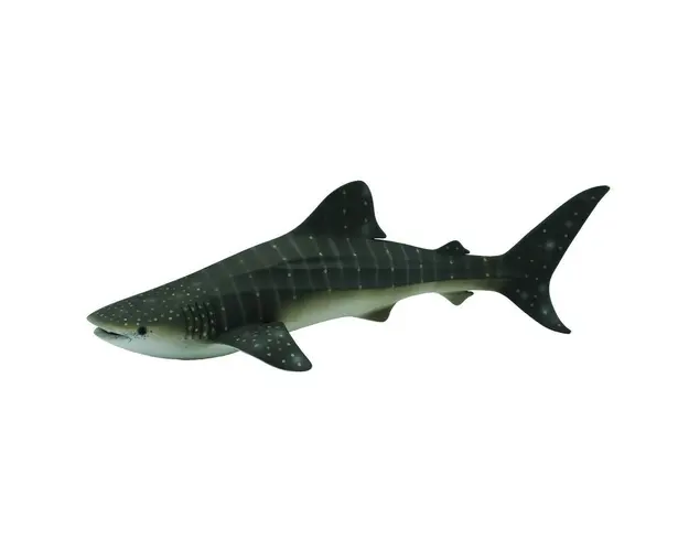 Collecta - Balena rechin