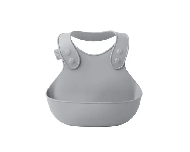 BIBS - Bavetica pentru diversificare si hranire, Cloud