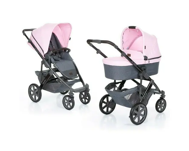 Carucior 2 in 1 Salsa 4 Rose ABC Design