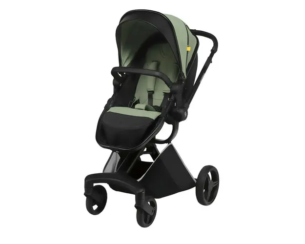 Carucior transformabil 2 in 1 Skiddou Nasjo, Wild climber, Verde