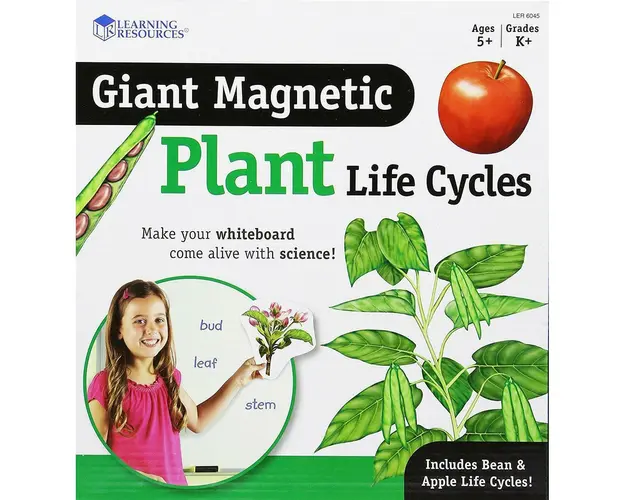 Ciclul vietii plantei - set magnetic