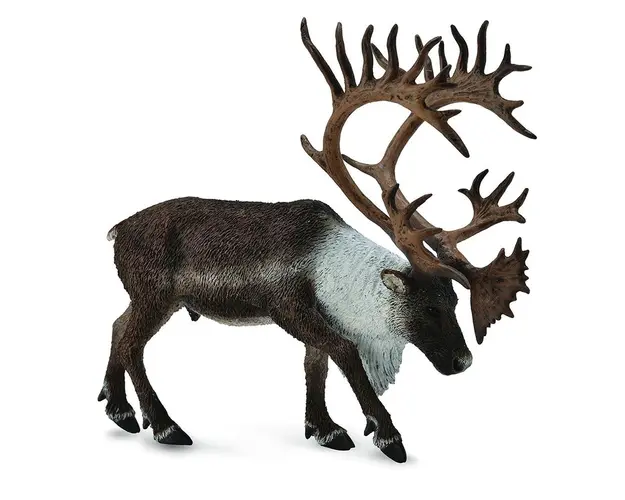 Collecta Figurina Caribu - Mascul