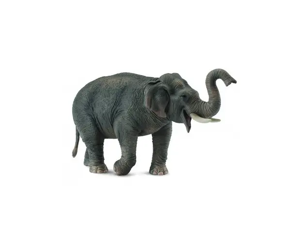 Collecta - Figurina Elefant Asiatic XL