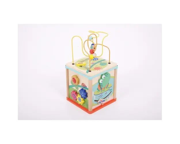 Cub de activitate 5 in 1