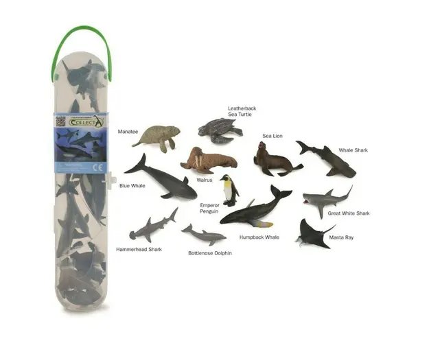 Collecta - Cutie cu 12 minifigurine Animale marine Set 1